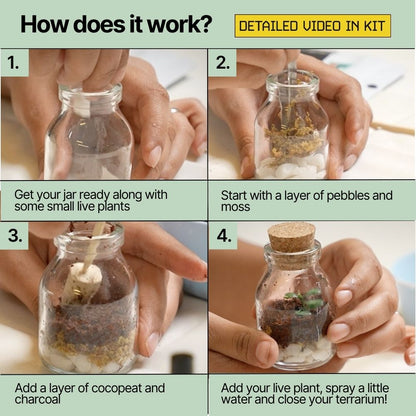 DIY Mini Terrarium Kit