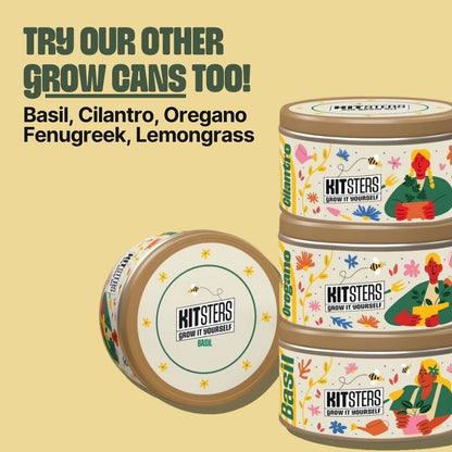 Grow in a can : Fenugreek