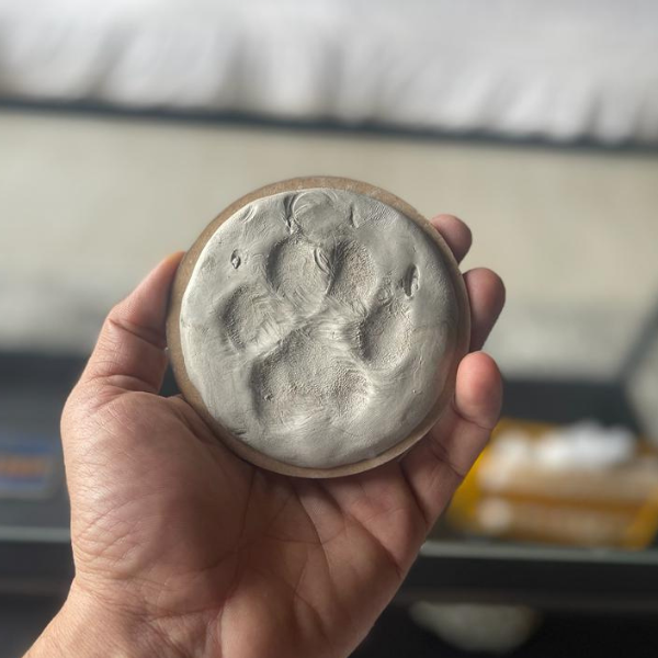 DIY Paw Printing Kit