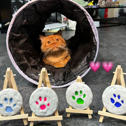 DIY Paw Printing Kit