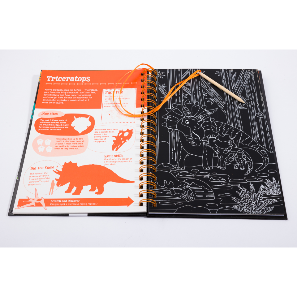 Scratch & Explore Book: Dinosaurs