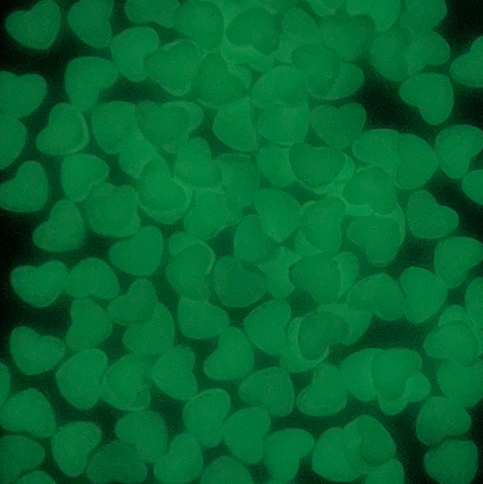 Stikeeze Glow in the Dark Confetti  | Hearts | 3 gms | For Crafts, Slime & Resin Art