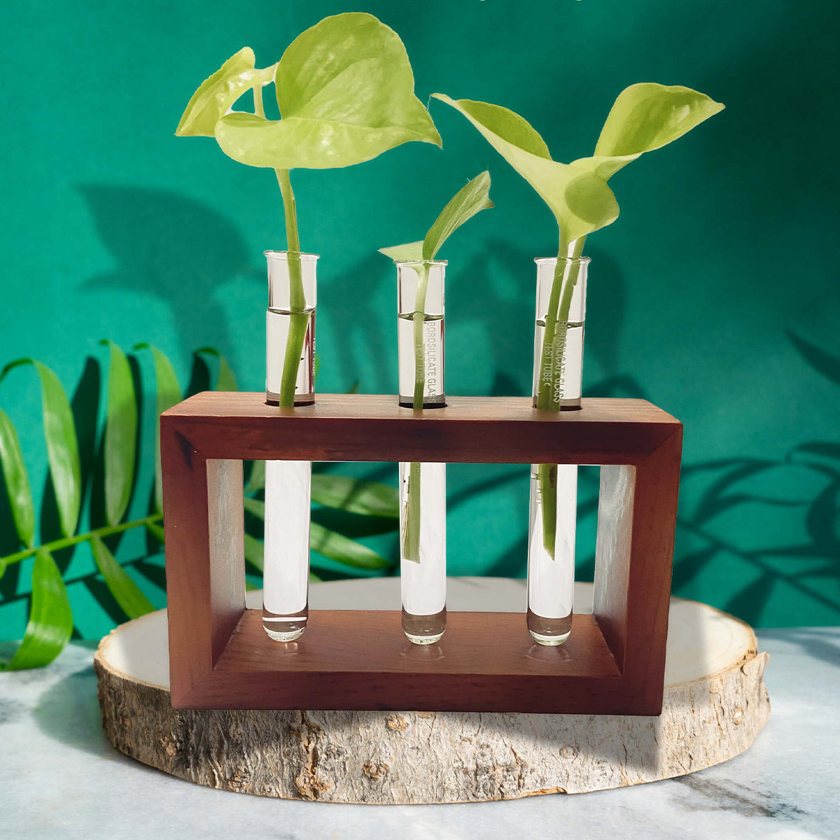 Test Tube Planter with Wooden Holder