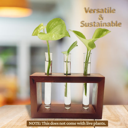 Test Tube Planter with Wooden Holder