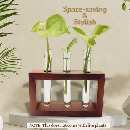 Test Tube Planter with Wooden Holder