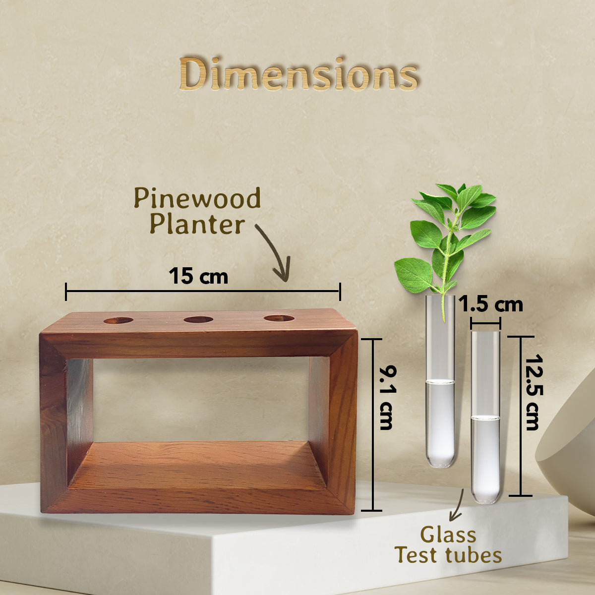 Test Tube Planter with Wooden Holder