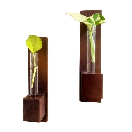 Test Tube Wall Planter with Wooden Holder (set of 2)