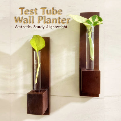 Test Tube Wall Planter with Wooden Holder (set of 2)