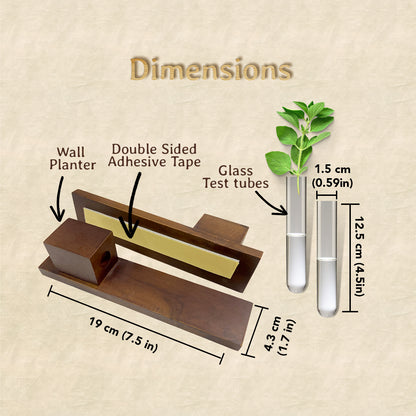 Test Tube Wall Planter with Wooden Holder (set of 2)