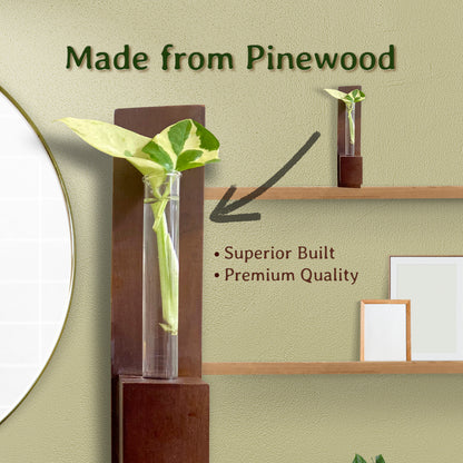 Test Tube Wall Planter with Wooden Holder (set of 3)