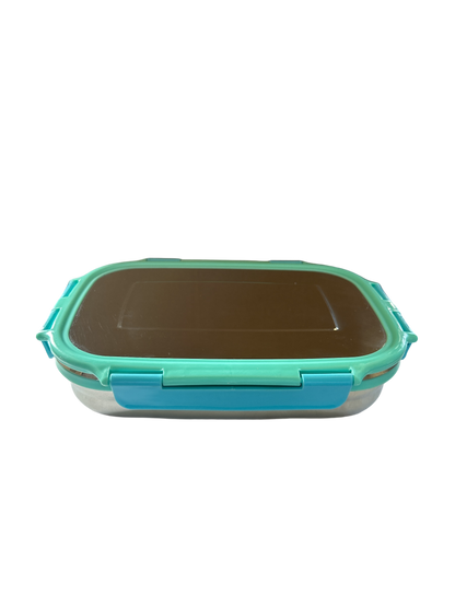 Veigo Large Stainless Steel Lunch Box - Light Green Cyan | Limited Edition