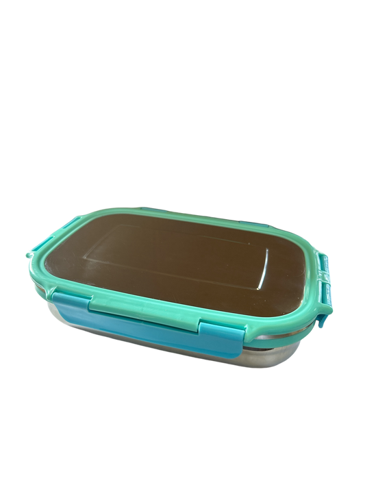 Veigo Large Stainless Steel Lunch Box - Light Green Cyan | Limited Edition