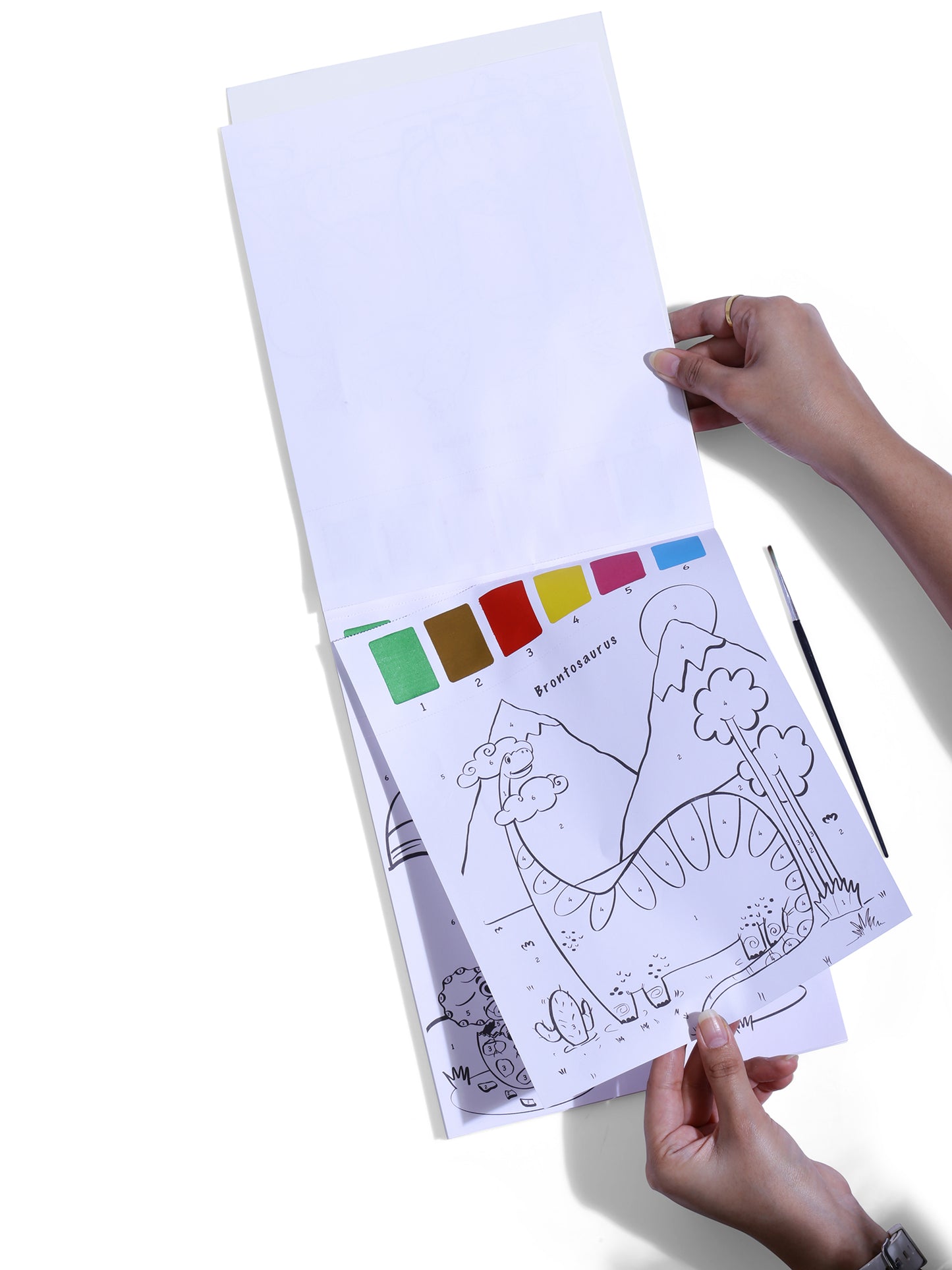 PepPlay Dinosaurs Coloring Book - Color Using Paint & Numbers